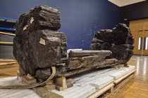 Phát hiện đặc biệt trong quan tài gỗ cổ thời Đồ Đồng