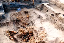 Bí ẩn ngôi mộ tiền Inca 1.000 năm tuổi vừa phát hiện Peru