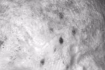 Bí ẩn xác ướp trẻ em Nubia 1.400 tuổi 