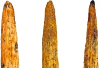 Vũ khí tinh xảo 80.000 năm tuổi của người Neanderthal
