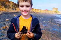 Tận thấy răng cá mập Megalodon khổng lồ do bé trai phát hiện