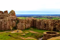 Tìm thấy chó hiến tế thời đồ sắt, chuyên gia sửng sốt