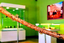 Lộ diện cây sáo bằng xương chim độc lạ khiến giới khảo cổ chấn động