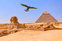 Sự thật chấn động chim săn mồi từng là linh vật thần thánh