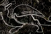 Soi mảnh da cổ, giật mình thấy hình rồng thời Trung Cổ 