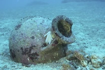 Tìm thấy 22 bình cổ Hy Lạp dưới đáy biển Albania