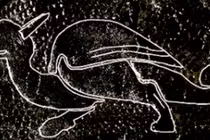 Soi mảnh da cổ, giật mình thấy hình rồng thời Trung Cổ 