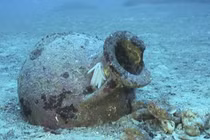 Tìm thấy 22 bình cổ Hy Lạp dưới đáy biển Albania