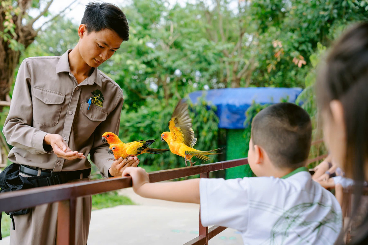 View - Tặng con mùa hè đáng nhớ – học điều hay từ thế giới diệu kỳ VinWonders Nam Hội An | Báo Tri thức và Cuộc sống - TIN TỨC PHỔ BIẾN KIẾN THỨC 24H