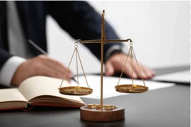 Đấu thầu tại Bến Tre: Chuyên gia kiến nghị làm rõ các dấu hiệu bất thường