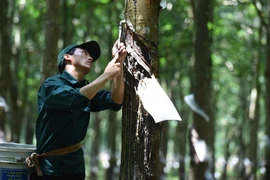 Donaruco trích dự phòng hơn 150 tỷ vào Chỉ sợi Cao su V.R.G Sado
