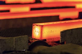 VCA báo lãi quý 2 đột biến, vẫn có rủi ro