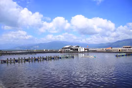 Phạt Nha Trang Seafoods - F17: Phơi bày hàng loạt giao dịch "ngầm"