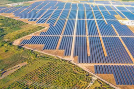 Xuân Thiện Đắk Lắk bị phạt khi lợi nhuận sụt giảm, áp lực nợ vay vẫn hiện hữu