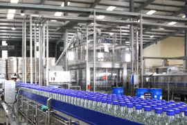 Halico quay lại quỹ đạo thua lỗ quý 2/2025