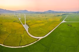 PC1: Tăng trưởng "vàng" có bị pha loãng bởi áp lực phát hành thêm cổ phiếu?