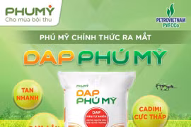PVFCCo – Phú Mỹ chính thức ra mắt DAP Phú Mỹ, mở rộng danh mục sản phẩm và cung ứng nguồn phân bón chất lượng cao cho thị trường