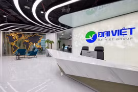 TGĐ Đại Việt Group bị phạt: Hé lộ bức tranh tài chính và kiểm toán ngoại trừ