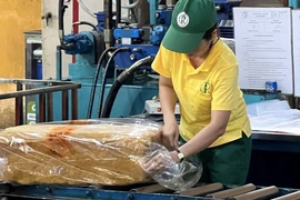 GVR bị VCSC điều chỉnh giảm giá mục tiêu