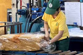 GVR bị VCSC điều chỉnh giảm giá mục tiêu