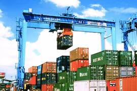 VPG bị phạt vì sai phạm công bố thông tin