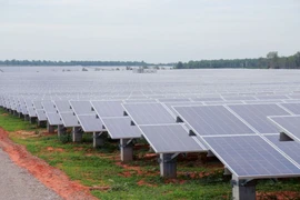 Xử phạt Năng lượng Hồng Phong 2 do vi phạm công bố thông tin