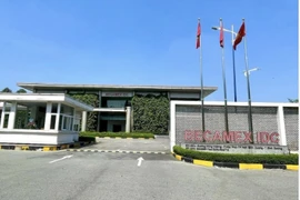 BCM thay Tổng giám đốc