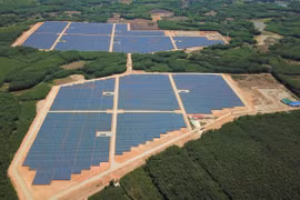 TEG bị phạt 240 triệu đồng