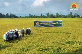 LTG đặt kế hoạch lỗ và huỷ trả cổ tức 2023