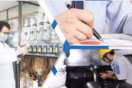 Trung tâm Đo lường Chất lượng 3 bị phạt 320 triệu đồng do không có Giấy phép môi trường