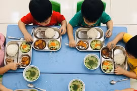 Nghị định 214 và cơ chế 'chọn thầu đặc biệt' cho suất ăn học đường: Pháp lý và thực tiễn thị trường 