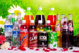 Sá xị Chương Dương dự kiến bán nhà máy Nhơn Trạch cho công ty con của F&B