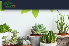 UPC: Lãi giảm, dòng tiền thuần âm, cổ phiếu không có giao dịch