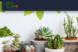 UPC: Lãi giảm, dòng tiền thuần âm, cổ phiếu không có giao dịch