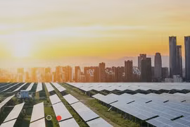 TCD chưa thể thanh toán lãi trái phiếu đến hạn