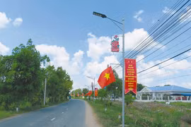 Công ty Bảy Diệp trúng thầu thi công Đường kênh giữa Long Bình [Kỳ 1]