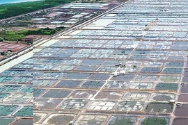 FMC báo lãi quý 2 tăng trưởng dù chịu thuế đối ứng cao