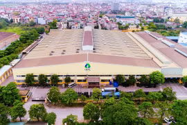 Nhựa Hà Nội bị xử lý về thuế gần 4 tỷ đồng