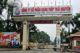 TIS bị xử phạt