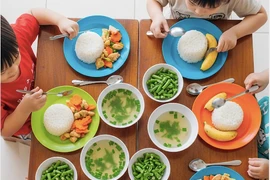 Chỉ định thầu suất ăn học đường: Pháp lý, thực tiễn và hai mô hình đối lập