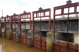 Gói thầu tại Công ty Khai thác CTTL Đắk Nông: Vì sao chỉ một nhà thầu tham dự?