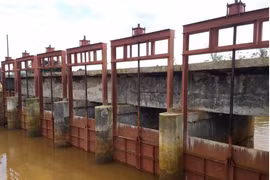 Gói thầu tại Công ty Khai thác CTTL Đắk Nông: Vì sao chỉ một nhà thầu tham dự?