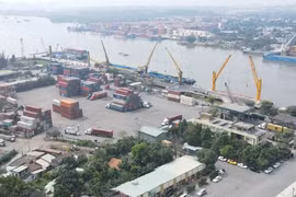 Chân dung Công ty Thiên Quốc An và gói thầu hơn 9 tỷ tại Cảng Đồng Nai [Kỳ 1]