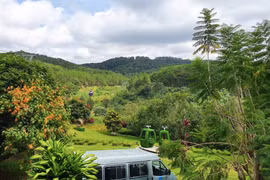 Sài Gòn - Lâm Đồng: 6 tháng lỗ khủng 142,5 tỷ, vốn chủ sở hữu 'bốc hơi' 81%