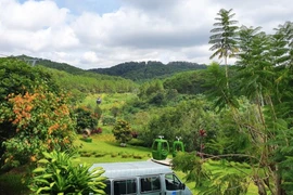 Sài Gòn - Lâm Đồng: 6 tháng lỗ khủng 142,5 tỷ, vốn chủ sở hữu 'bốc hơi' 81%