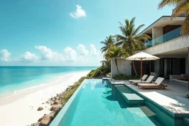 BCTC Đức Mai 2025: Lợi nhuận đột biến giữa vòng xoáy nợ vay ngân hàng