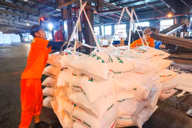 Giá ure thế giới tăng 50%, DPM tăng tốc công suất đón sóng xuất khẩu