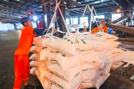 Giá ure thế giới tăng 50%, DPM tăng tốc công suất đón sóng xuất khẩu