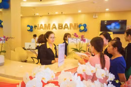 NAB: Dự phòng rủi ro tín dụng và nợ xấu đều tăng