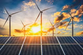 Nam Phương Energy bị phạt: Hé lộ “hố đen” tài chính 